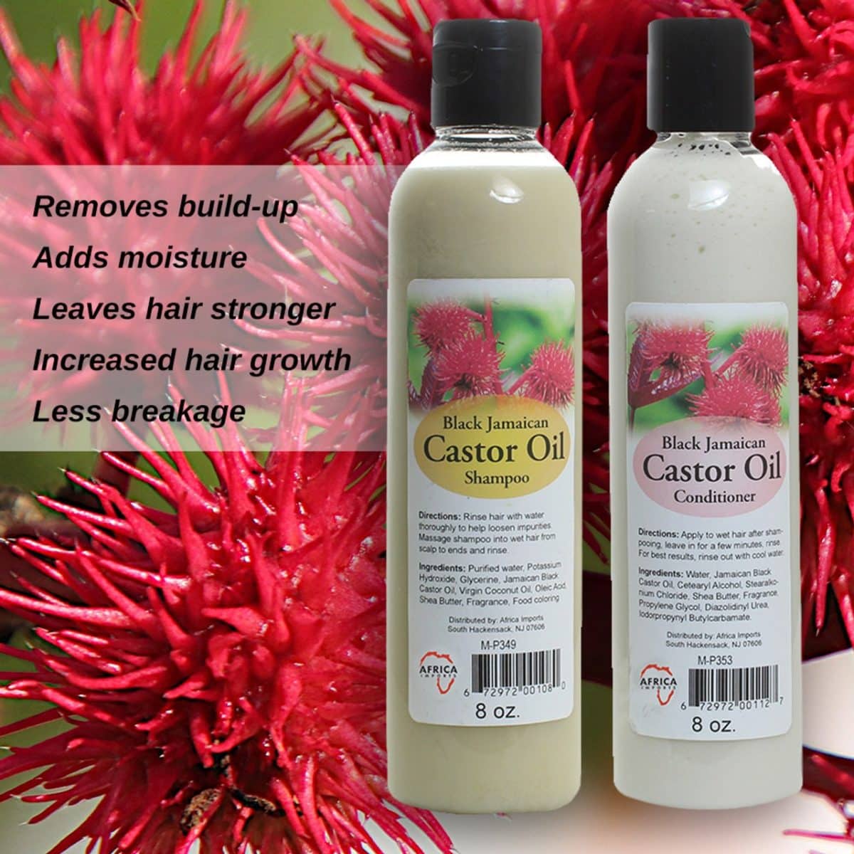 Black Jamaican Castor Shampoo & Conditioner Set_Behalaal.com