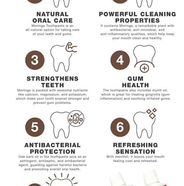 Essential Palace: Moringa Toothpaste - Pack Of 6 - behalaal.com