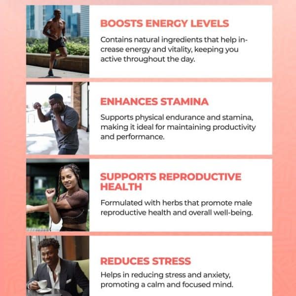 Bravo: Male Vitality Tea - 20 Bags_Behalaal.com