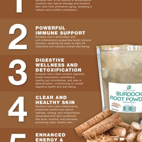 Burdock Root Powder - 4 oz_Behalaal.com