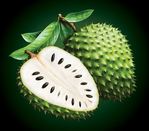 Soursop_Behalaal.com