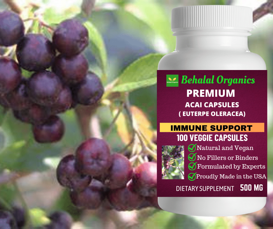Acai_capsule_Behalal_Organics_3__68785png Acai 100 Quick Release Capsules - 500mg Per Capsule - Image 1