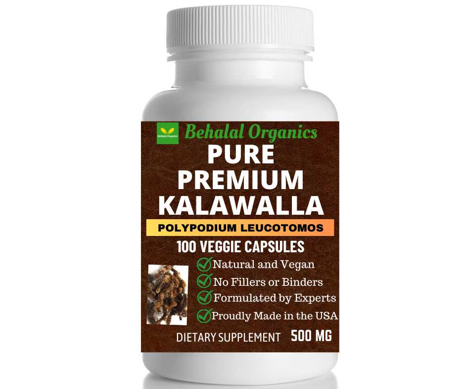 KALAWALLA-ROOT-polypodium-leucotomos-100-Quick-capsules_1911__31130jpg KALAWALLA ROOT (polypodium leucotomos) 100 Quick capsules - Image 1