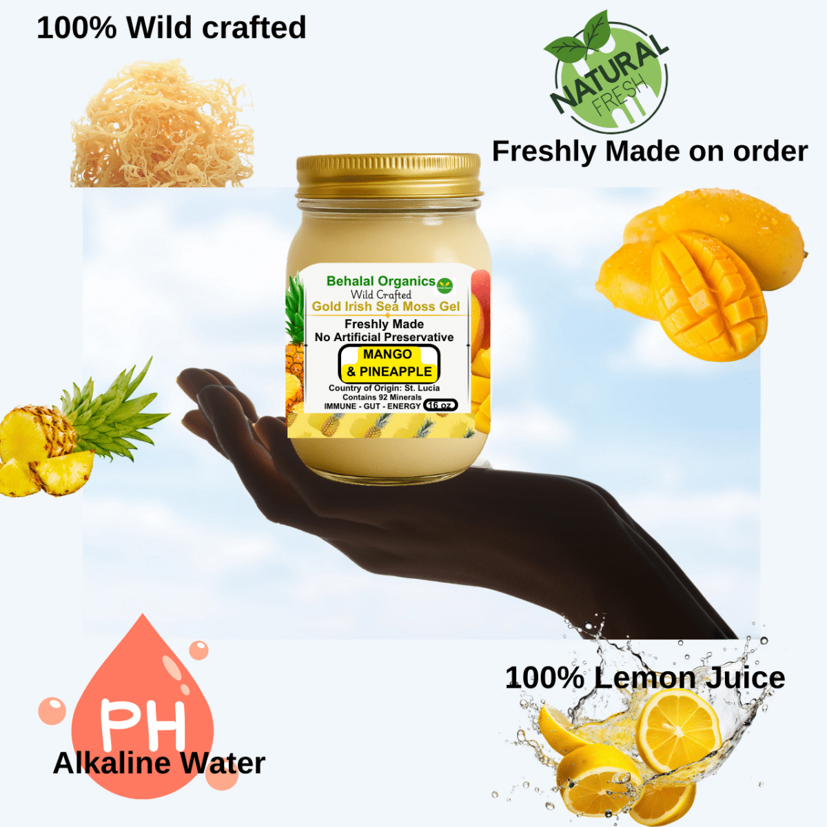 Irish Sea Moss Wildcrafted Gel with Pineapple & Mango – St. Lucia - Image 5