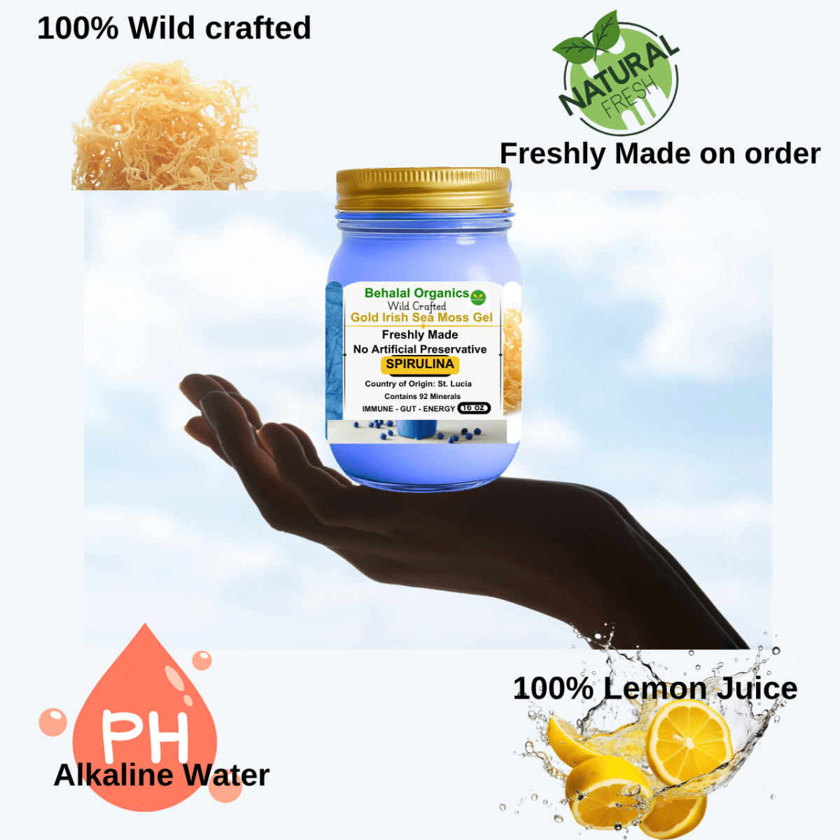 Irish Sea Moss Wildcrafted Gel with Spirulina - St. Lucia - Image 7