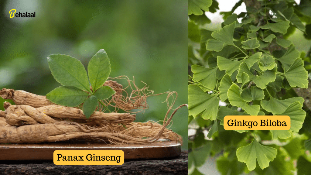 Ginkgo biloba and ginseng_Behalaal.com